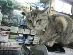招き猫