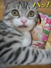 小桃の写真を公開してみよー！（こっそり更新w）