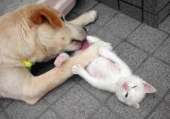 二人エッチがいい♪