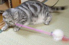 生理終了（＾−＾）、ということで画像載せます(^_^)v