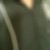 けーん