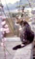 ちょっとすっきりいい話…実際にあった話