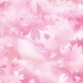 いい話…天地自然の理に従う