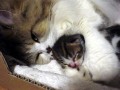 今まで一番泣いた映画(>_<)