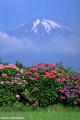 青姦したいような今日のお天気・笑