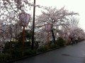 京おどり