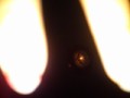 しよっかぁ★おやすぃ〜の