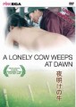 夜明けの牛