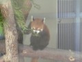 なのか