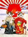 虎