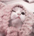 みう