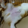まさ