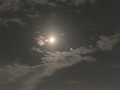 たかむら