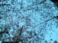 のぞみ♫
