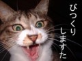 セレナーデ