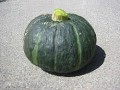 かぼちゃ