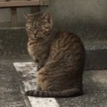 小山晃弘