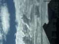 ゆーり