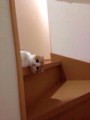 登美子
