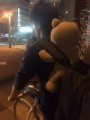 えぬしま