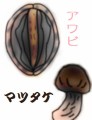 シュウイチ29