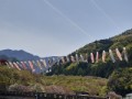 トラトラくん！