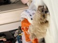 リオ