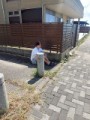 はやと