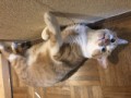 ゆう(?´^`?)