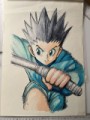jajak