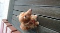 小山くん