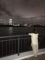 どぅどぅどぅ