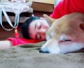 セ イ ヤ