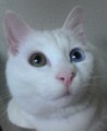 はな(^_^)