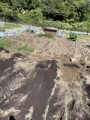 たっつー