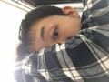 ワイル