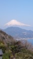ホワイトうさぎ