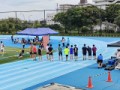 くも
