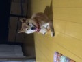 ぼっちの暇人