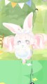 あんず