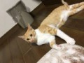 とみーず