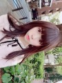 またたび