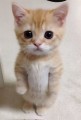 みき
