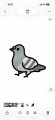 鳩
