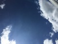 ひな?。:*