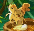 コウジ