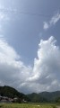 よつば