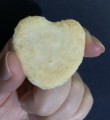 Cocco