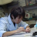 Fumiya