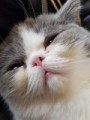 じんじん
